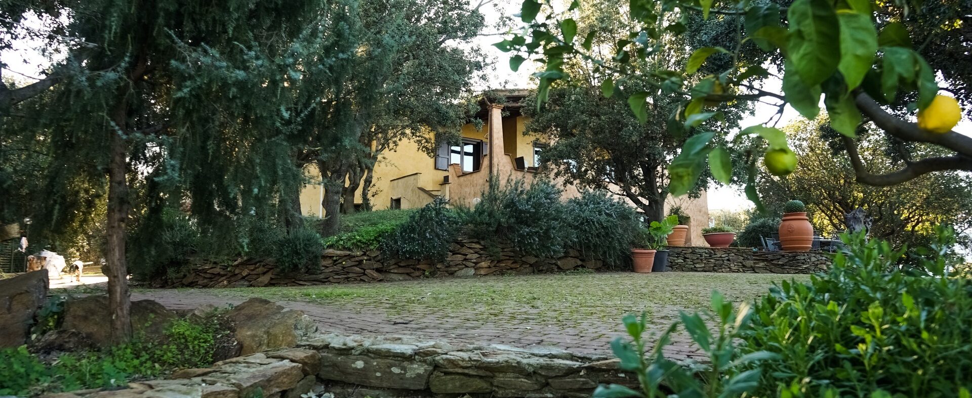 Villavivi-1