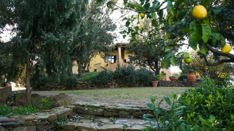 Villavivi-1